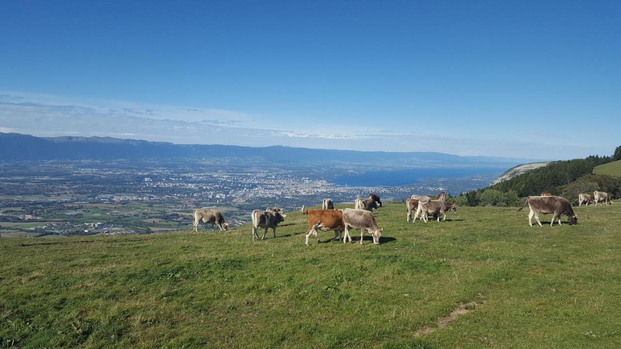 Appartement Au Calme Avec Terrasse Verdoyante Entre Annecy Et Geneve Villy-le-Pelloux Buitenkant foto