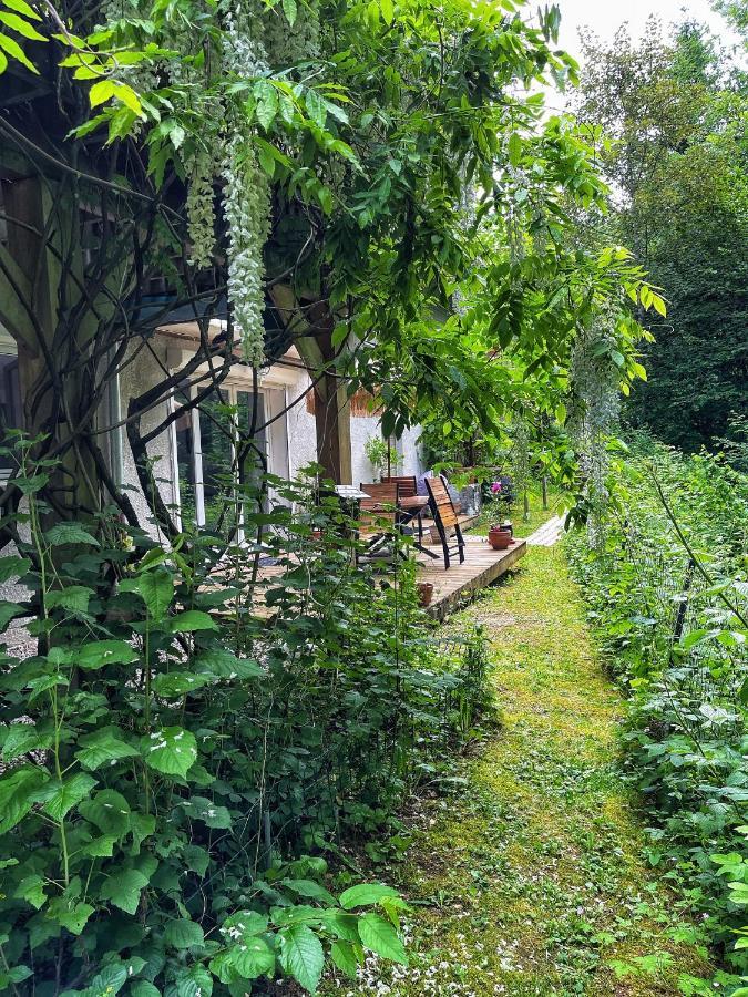 Appartement Au Calme Avec Terrasse Verdoyante Entre Annecy Et Geneve Villy-le-Pelloux Buitenkant foto